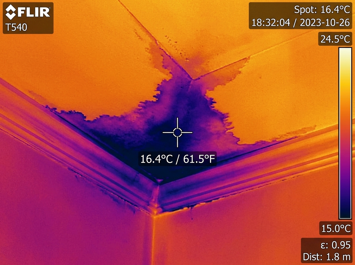 Thermal imaging scan showing hidden water leak in ceiling